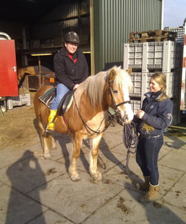 Paarden Klompenhoeve