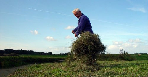 Werken Verstandelijke Handicap Klompenhoeve Gras Hooi