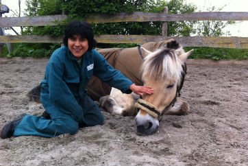 Werken Verstandelijk Gehandicapt Klompenhoeve Paard Paarden Paardrijden