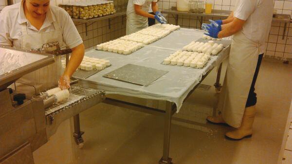 Verstandelijke Handicap Werken Bollen