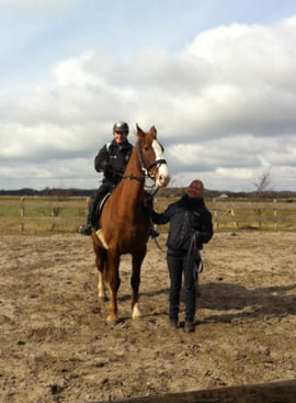Verstandelijk Gehandicapt Paardrijden