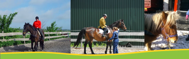 Paardrijden Verstandelijke Handicap