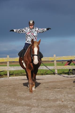Werken Verstandelijke Handicap Klompenhoeve Paard Paarden Paardrijden